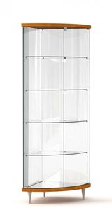 contemporary display case