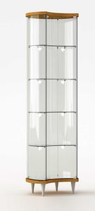 contemporary display case