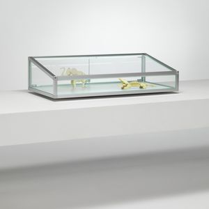 contemporary display case / countertop / glass / aluminum