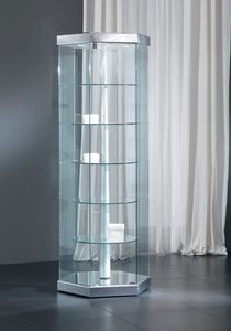 contemporary display case