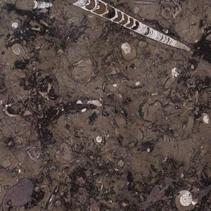 marble tile