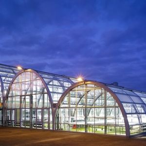 commercial greenhouse