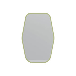 wall-mounted mirror