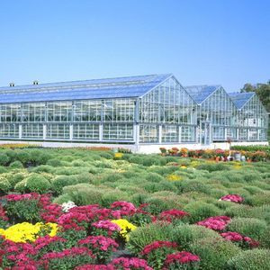 commercial greenhouse