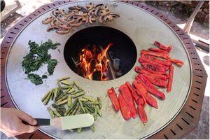 wood-burning grill