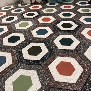 indoor encaustic cement tile / floor / wall / hexagonal