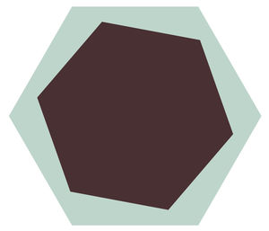 indoor encaustic cement tile / outdoor / floor / hexagonal