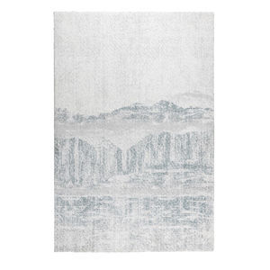 contemporary rug