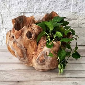 teak plant pot