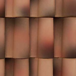 Portuguese roof tile