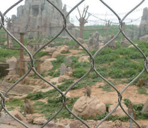 stainless steel wire mesh