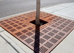 square tree grate