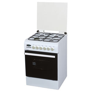 electric oven 1