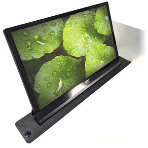retractable monitor