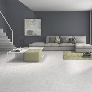 indoor tiles / wall / floor / ceramic