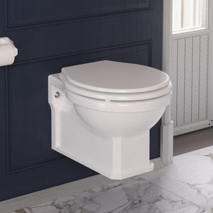 wall-hung toilet 1