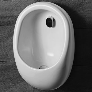 wall-mounted urinal