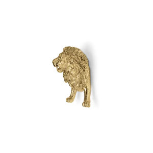 polished brass furniture handle 1