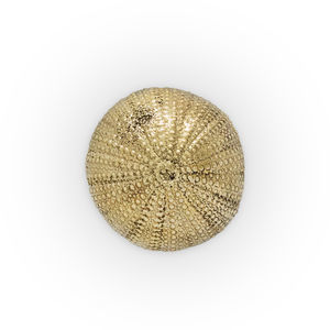 contemporary furniture knob