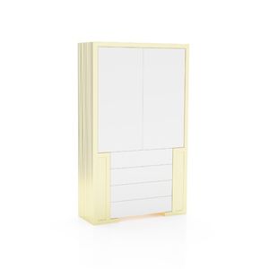 contemporary wardrobe / wooden / glass / metal