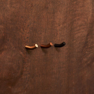 contemporary coat hook