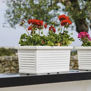 polyethylene planter / rectangular / traditional