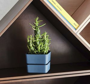 plastic plant pot