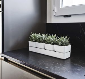plastic plant pot