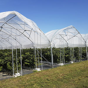 commercial greenhouse