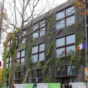 green wall with live plants