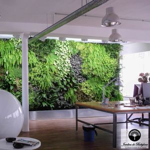 preserved green wall