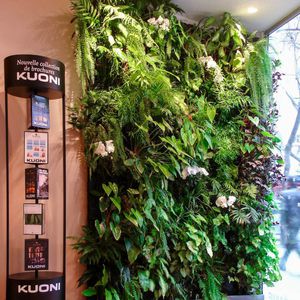 preserved green wall