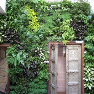 Preserved green wall - ART - Jardins de Babylone - modular-panel ...