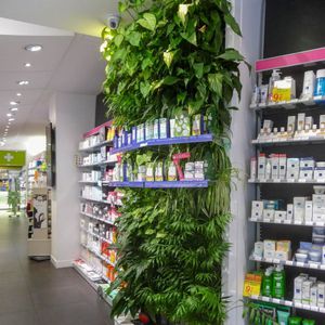 preserved green wall