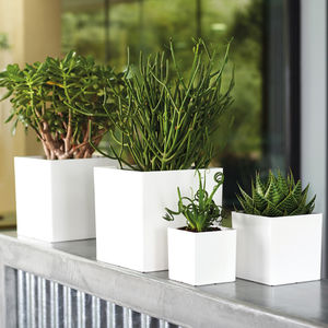 polypropylene plant pot