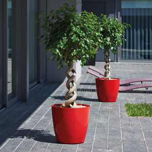 polypropylene plant pot