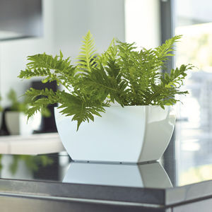 polypropylene plant pot