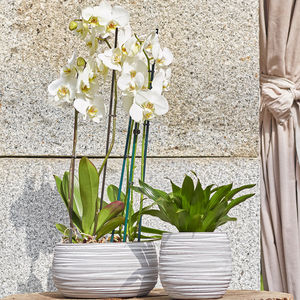 ceramic flower pot / free-standing / round / home