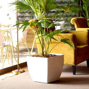polypropylene garden pot / square / home