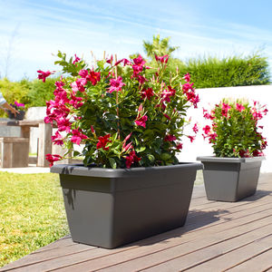 polypropylene planter / rectangular / traditional