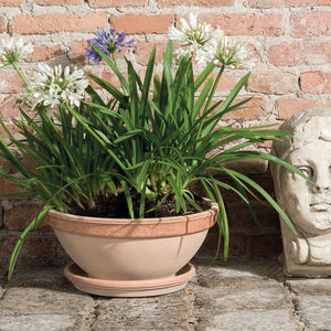 terracotta planter 1