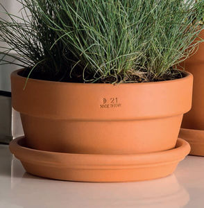 terracotta planter 1