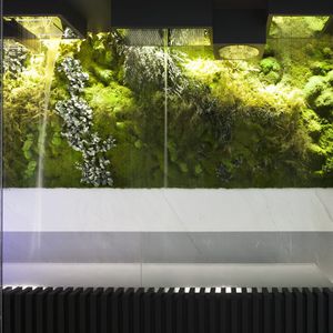 preserved green wall