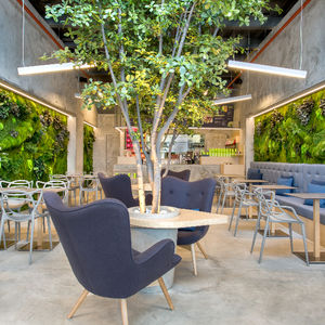 preserved green wall