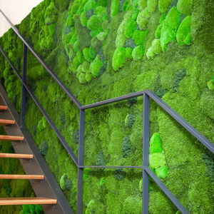 preserved vertical garden