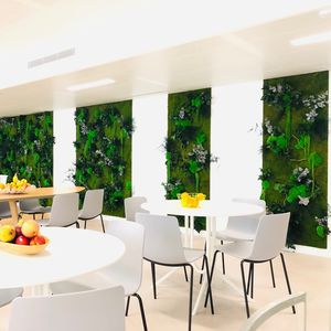 preserved green wall