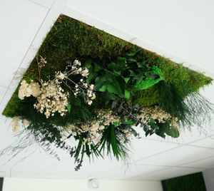 PET suspended ceiling