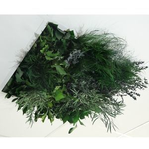 PET suspended ceiling 1