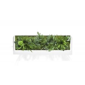 preserved living frame