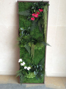 preserved living frame